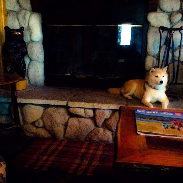 联盟抢断能力最强的后卫解读，联盟抢断王