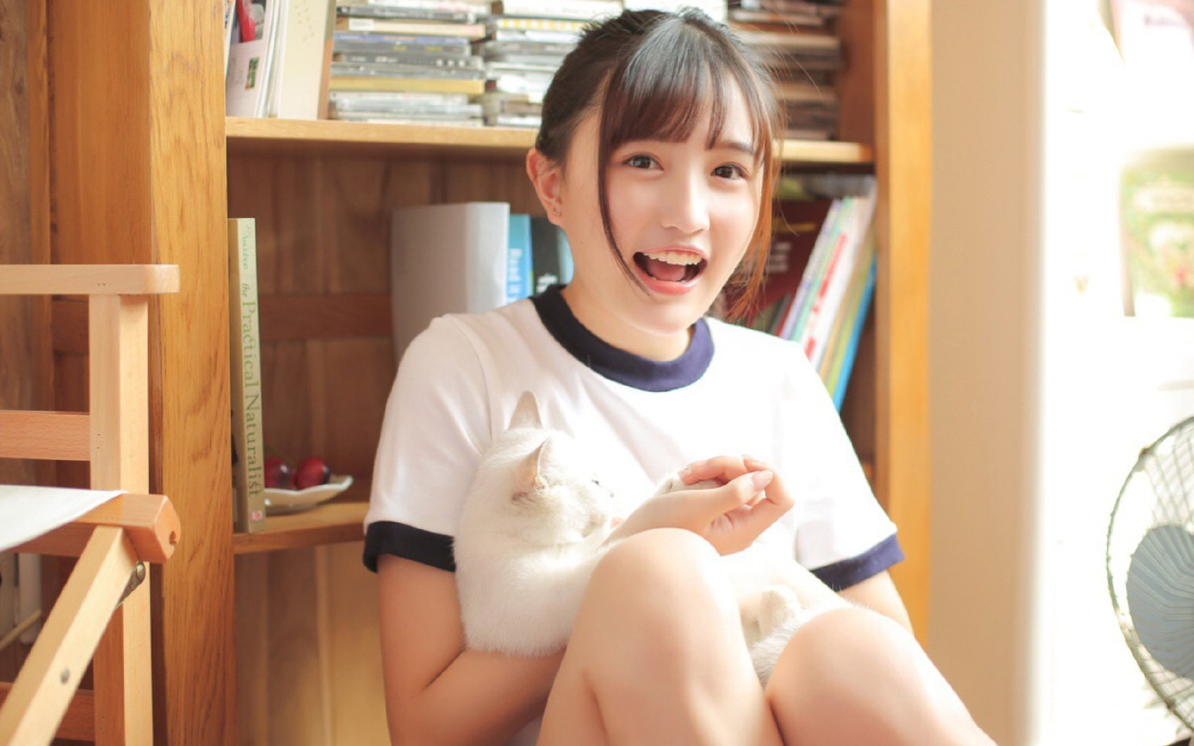 蝶泳划频与心率波动图首次公开，蝶泳的划水动作轨迹是三维的